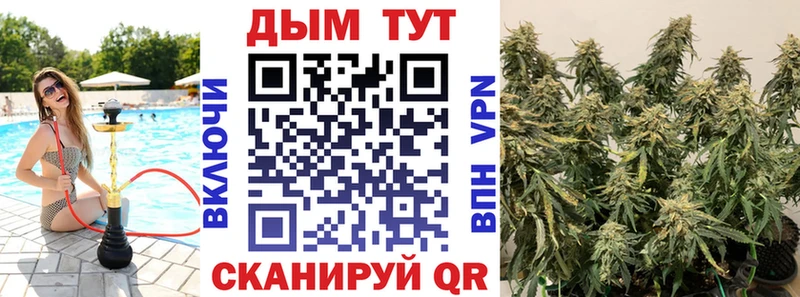 Каннабис Amnesia  Кимры 